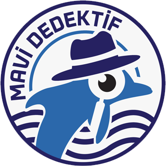 Mavi Dedektif Logo